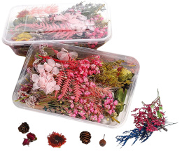 2 pudełka materiały kwiat suszone kwiaty dekoracyjne DIY mieszanka