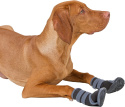 Buty dla psa Active XL Kerbl ochrona łap