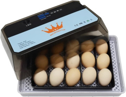 Mini inkubator do 15 jaj wylęgarka Automatyczny do kur gęsi przepiórek