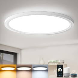 Lampa sufitowa LED plafon LEOEU 20W 29cm regulacja jasności Aplikacja