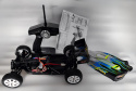 Model Truggy RC Team C 1:10 Minion 4WD TR04 2,4GHz (