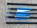 BEŁT STRZAŁA DO ŁUKU REAWOW łucznictwa 80 cm BEŁT STRZAŁA DO ŁUKU REAWOW łucznictwa 80 cm