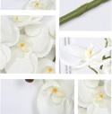 Phalaenopsis ORCHIDEA STORCZYK SZTUCZNE KWIATY