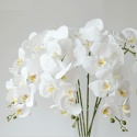 Phalaenopsis ORCHIDEA STORCZYK SZTUCZNE KWIATY