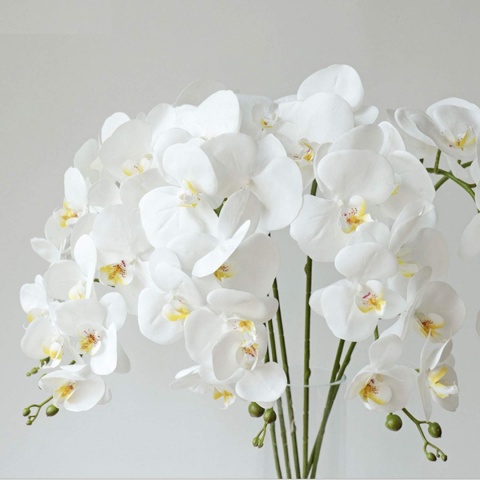 Phalaenopsis ORCHIDEA STORCZYK SZTUCZNE KWIATY