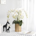 Phalaenopsis ORCHIDEA STORCZYK SZTUCZNE KWIATY