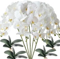 Phalaenopsis ORCHIDEA STORCZYK SZTUCZNE KWIATY