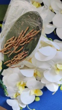 Phalaenopsis ORCHIDEA STORCZYK SZTUCZNE KWIATY
