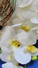 Phalaenopsis ORCHIDEA STORCZYK SZTUCZNE KWIATY