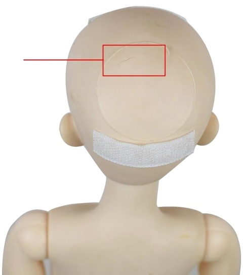 Lalka BJD 1/3 Ciało Korpus Ruchomy 56cm 24 Stawy EVA STOI Anime Custom DIY
